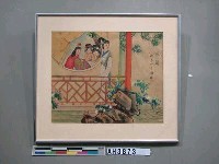 藏品(菊)的圖片